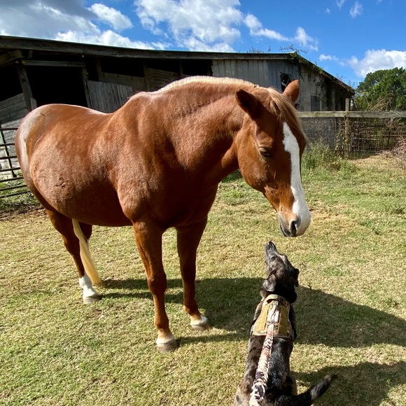 BE KIND - Picture 9 of 15